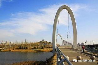 孝妇河公园吃瓜,夏日吃瓜盛宴，共享清凉时光