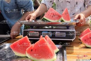 吃瓜吃到恶心,揭秘娱乐圈背后的惊人真相