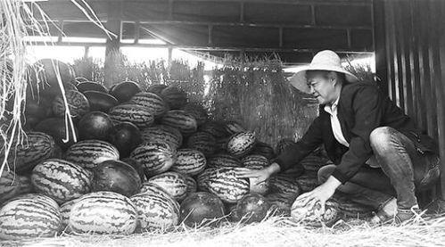 刘家峡吃瓜群众事件