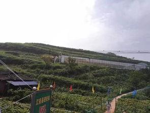 刘家峡吃瓜群众事件