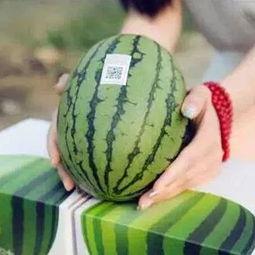 错过吃瓜,谁在笑谈风云