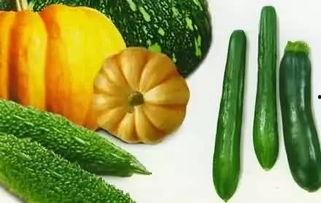 济宁黄屯吃瓜,夏日炎炎，吃瓜群众的欢乐时光