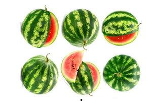 吃瓜小农,揭秘农村生活的酸甜苦辣