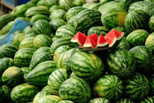 某网红吃瓜,一场娱乐圈的“瓜田”盛宴