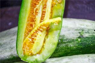 某网红吃瓜,一场娱乐圈的“瓜田”盛宴