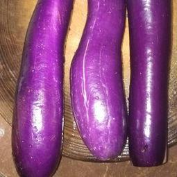 流产可以吃茄瓜,流产后的营养恢复与调养