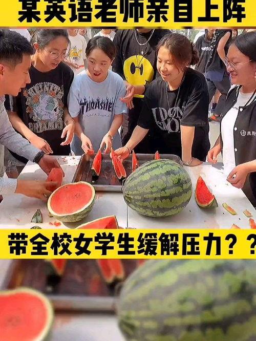 会宁吃瓜大赛,一场欢乐盛夏的全民狂欢盛宴