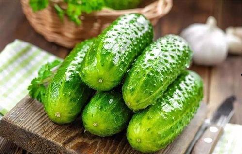 吃瓜为什么感到苦,探寻苦味生成的科学原理