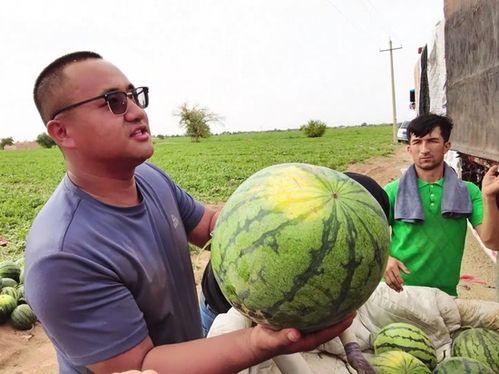 推图社吃瓜图像,推图社吃瓜图鉴，揭秘明星幕后故事