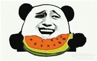 舟山吃瓜群众,揭秘海鲜美食背后的故事