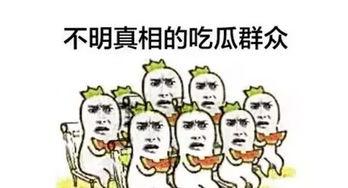 吃瓜群众看华为,揭秘科技巨头的崛起之路